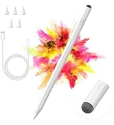 Stylus Pen for iPad, 2 in 1 Active and Capacitive Apple Pen, Fast Charge Apple iPad 10th Generati...