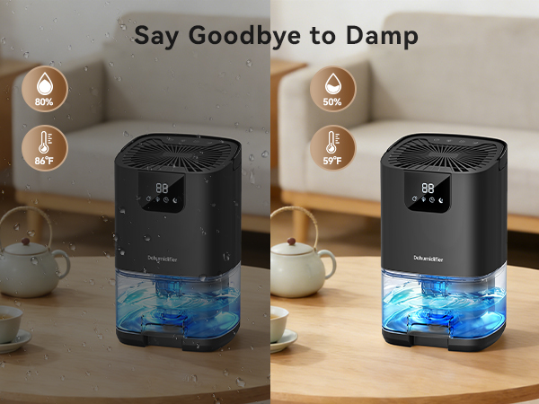 bathroom dehumidifier