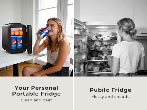Personal Portable Fridge