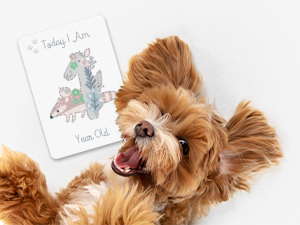 milestone forever baby month signs boy by for age cards monthly milestones one sign markers babies 