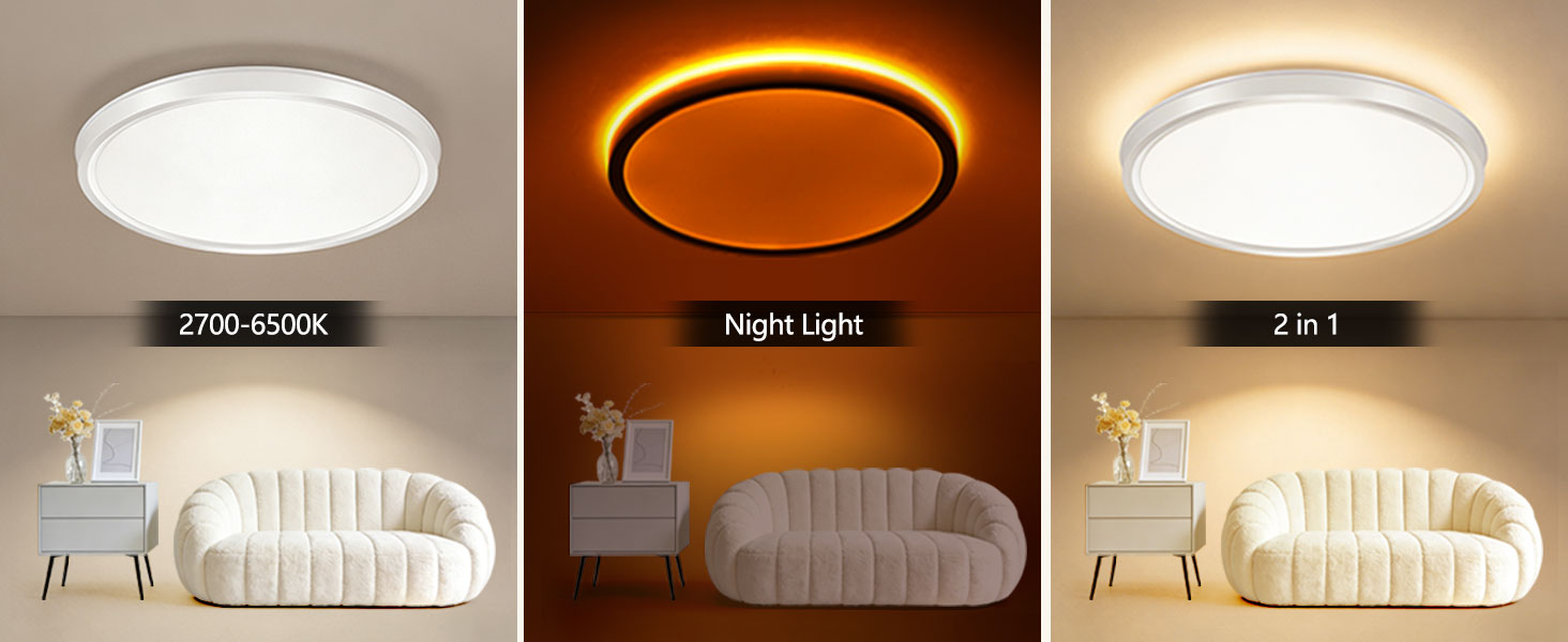 Ceiling Light Fixture