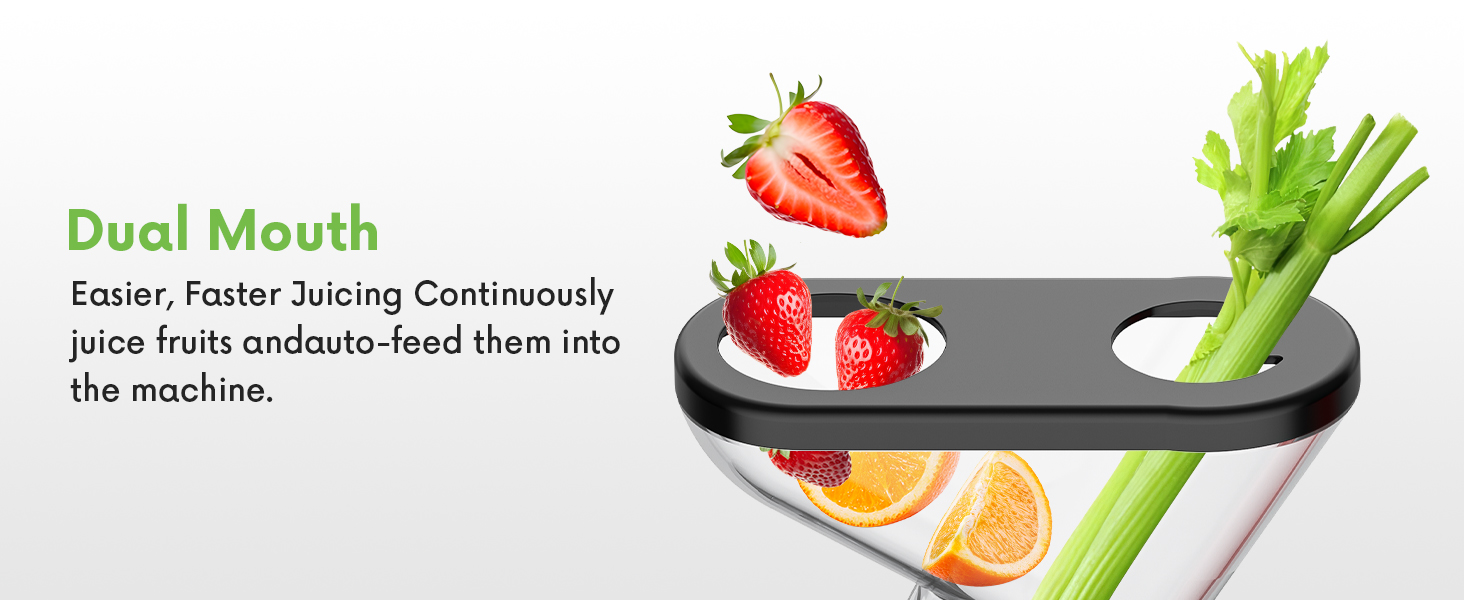 Masticating Juicer