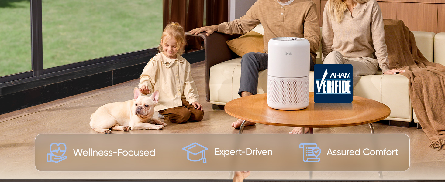 Air purifier large room