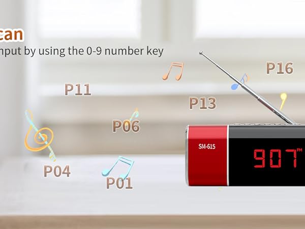 FM Radio Bluetooth Speaker