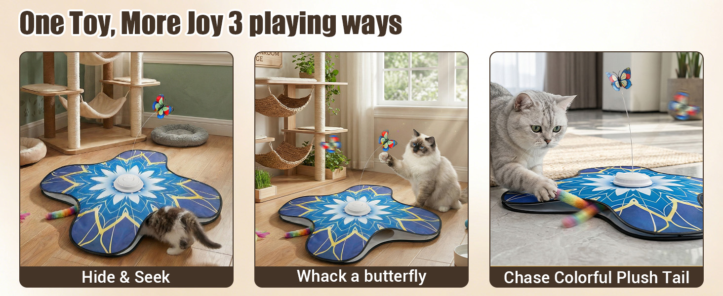 hide and seek cat toys