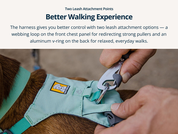 Xsmall dog harness designed for 5–15 lb dogs, with four points of adjustment for a dialed-in fit.