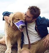 dog muzzle