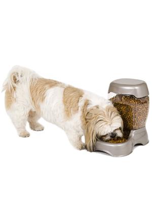 top rated automatic cat feeder, pet feeder for multiple pets, pet feeder for cats,