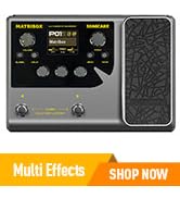 Multi Effects Processor