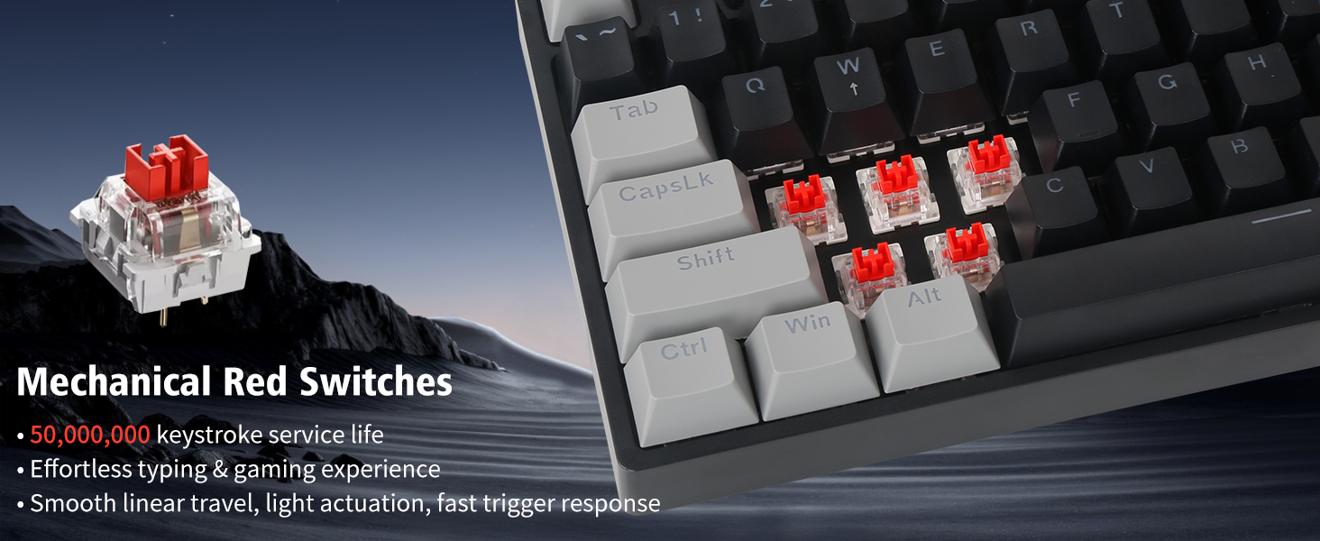 red switches
