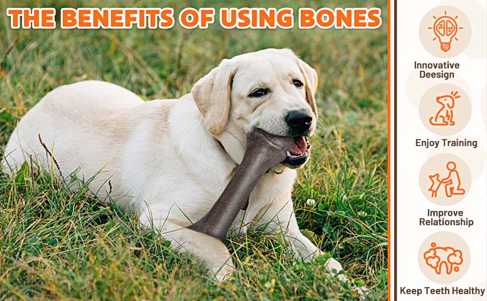 dog toys for large dogs aggressive chewers