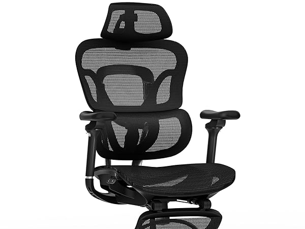 FlexiSpot ErgoX MAX