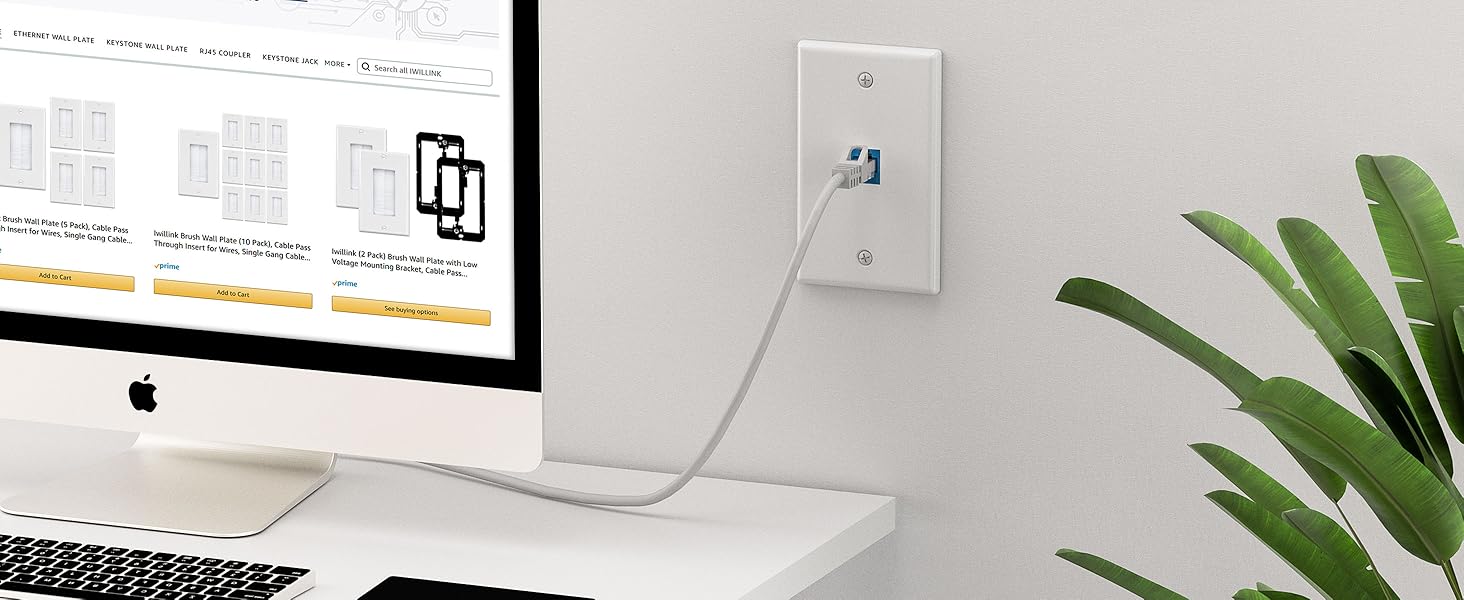 ethernet wall plate A+