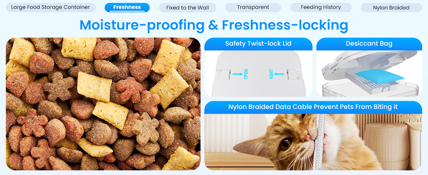 dual automatic cat feeder