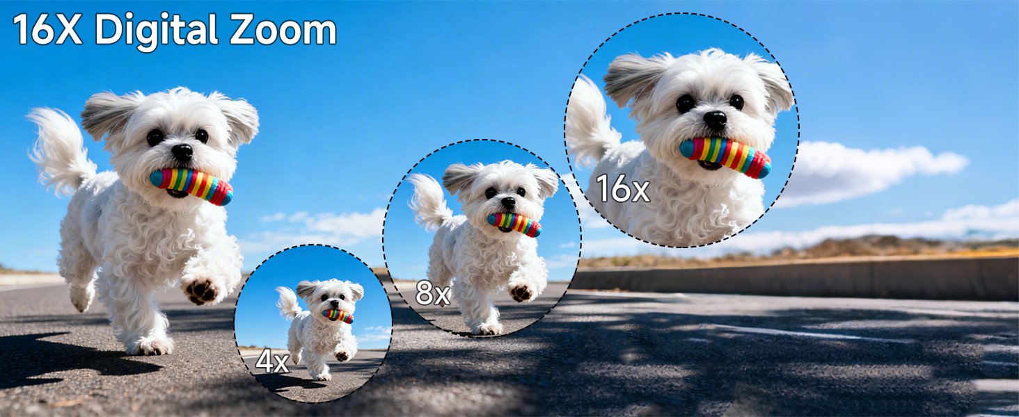 16x digital zoom