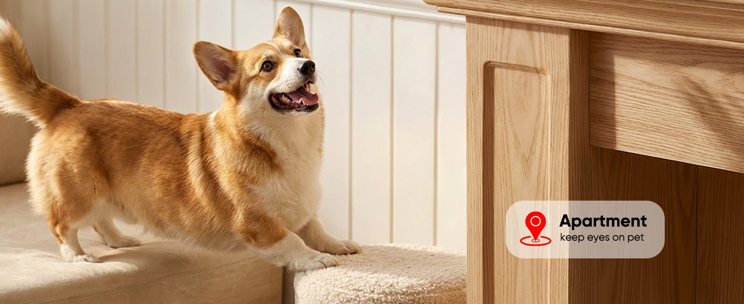 battery powered pet camera