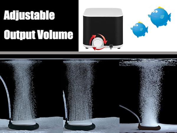 Adjustable output volume