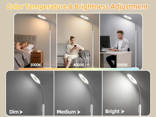 Standing Lamp