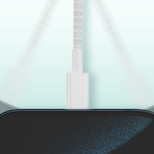 iphone charger 10 ft