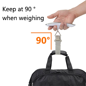 Scale