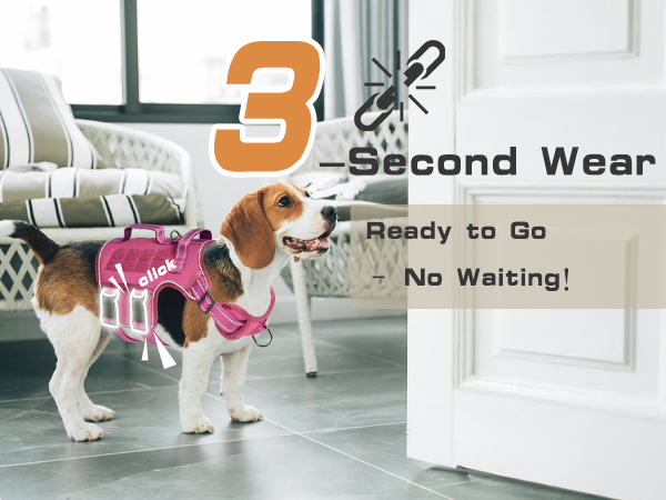 dog harness