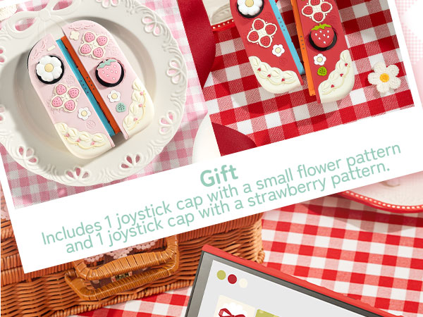 Text reads 'Includes 1 lipstick cap with small flower pattern and 1 lipstick pattern.' Red and white gingham pattern visible with decorative floral elements.
