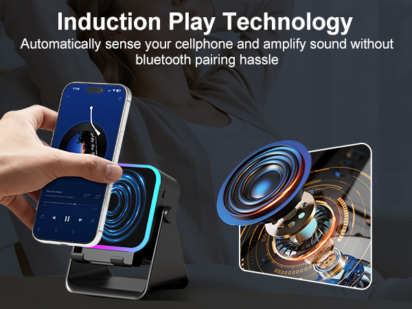 induction speaker