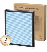DAYETTE AP303/304 Replacement H14 HEPA Air Purifier Filter, Designed for Smoke Wildfire, Activate...