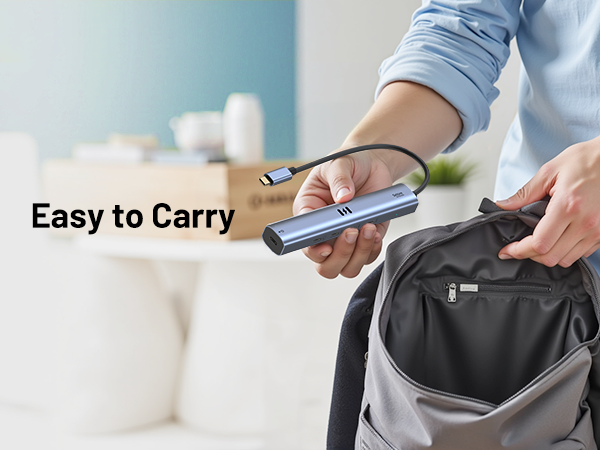 10Gbps USB C Hub with 4K@60Hz Video Display