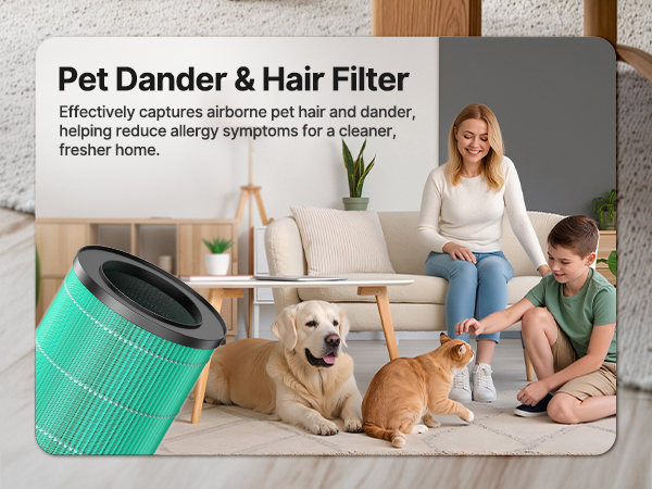 Air Purifiers for Bedroom