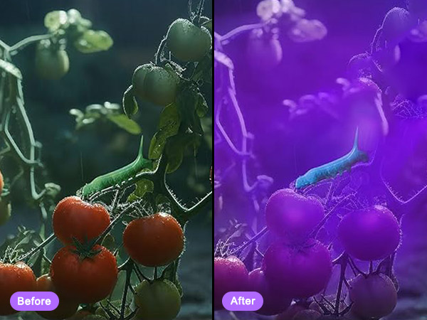 flashlight flashlights high rechargeable lumens led powered battery flash bright powerful