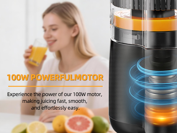100W POWERFUL MOTOR