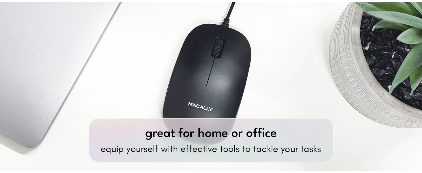 mouse