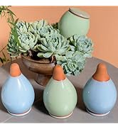 MOUGIGI 4-Pack Self Watering Planter Insert - 2 Blue and 2 Green Ceramic Watering Globes for Indo...