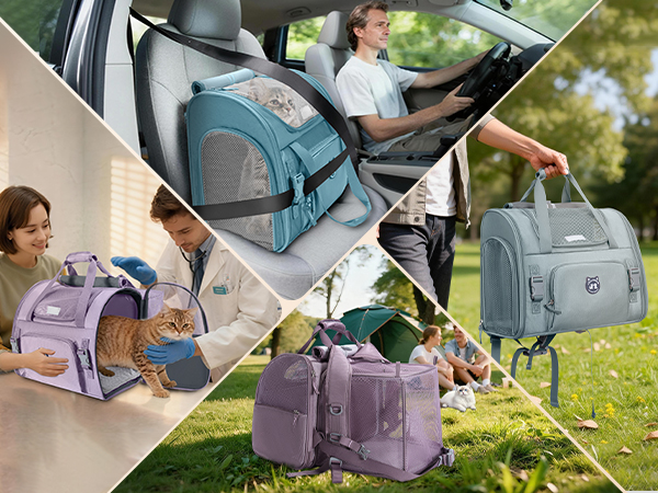 cat carrier