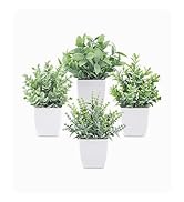 fake plant