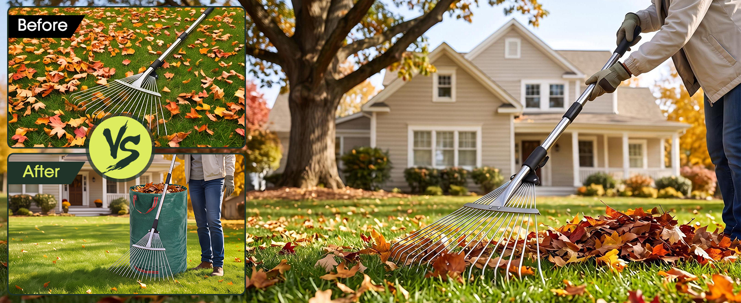 Rake for Leaves