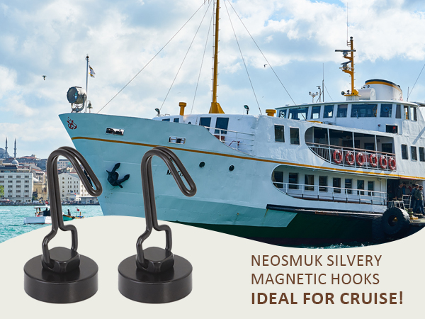 Neosmuk black swing magnetic hooks