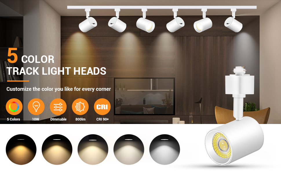 5 color track light heads