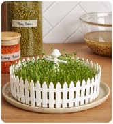 Tray to Sprout Seeds | Seed Field Seed Starter | Fitting Any Plate | Seedling Tray w/ a Fence and...