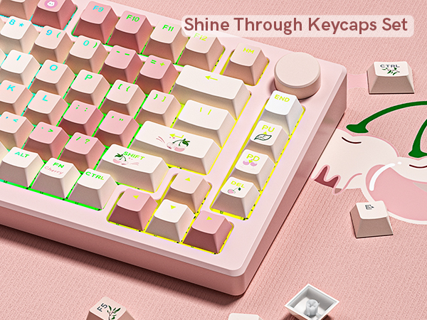 Shine Through Keycaps Set