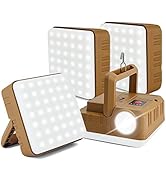 2 in 1 Camping Lantern Flashlights, DIBMS 4-Pack LED USB Rechargeable Hanging Power Bank Waterpro...