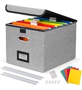 DECOSIS File Organizer Box with 5 Hanging Folders &amp; Plastic Slide, Collapsible Linen File Box wit...