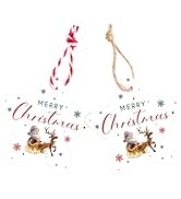G2PLUS Christmas Star Gift Tags - 100Pcs Merry Christmas Tags with String, 2.4in White Paper Holi...