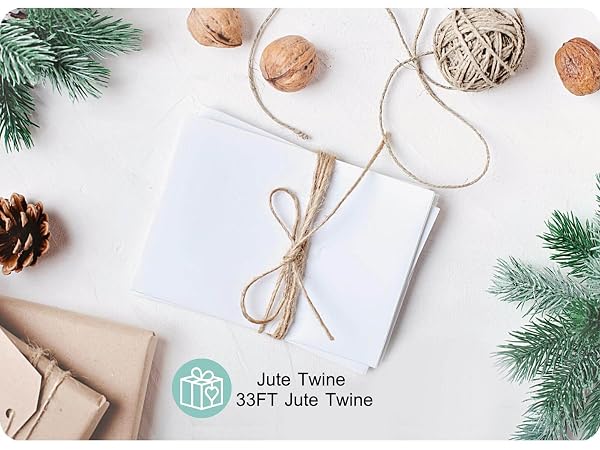 mini clothepins with jute twine