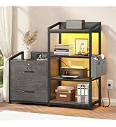 SEDETA 2 Drawer File Cabinet, Filing Cabinet fits Letter Legal, A4 Size, File Cabinets for Home O...