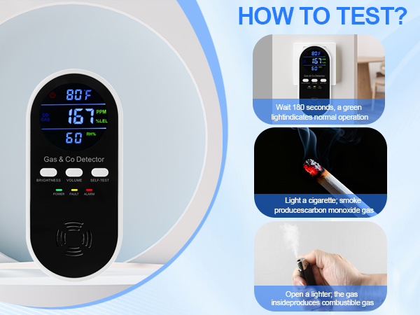 Natural gas detector and carbon monoxide detectors