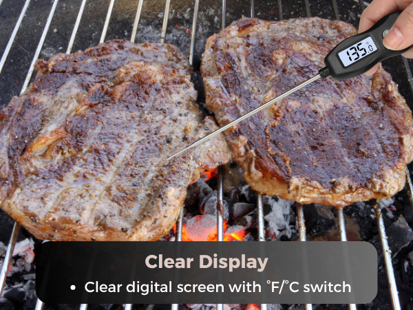instant read meat thermometer