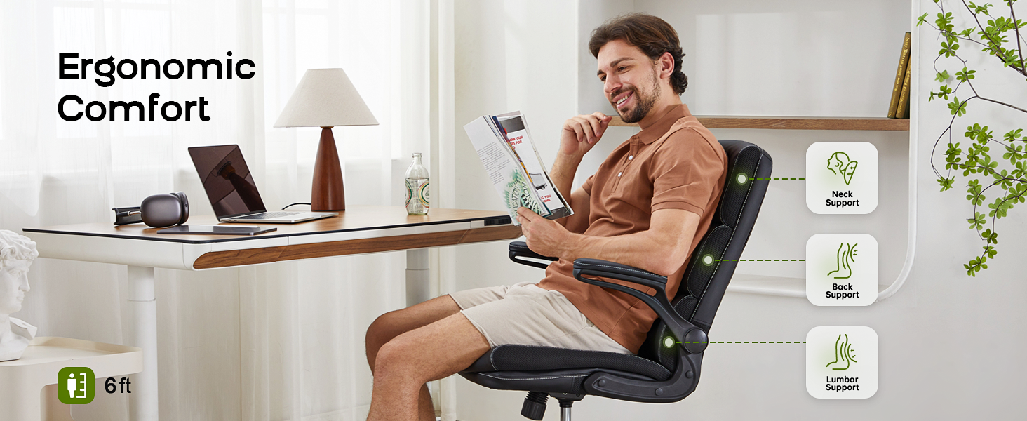 Ergonomic Chair