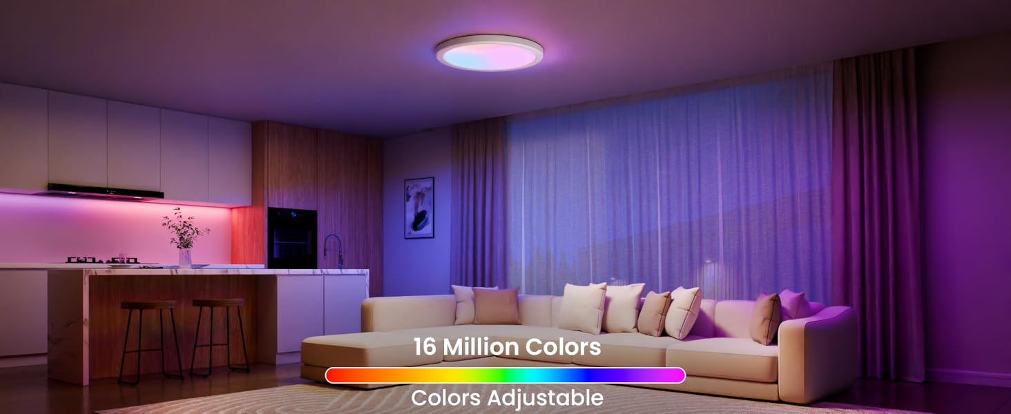 Smart Ceiling Light